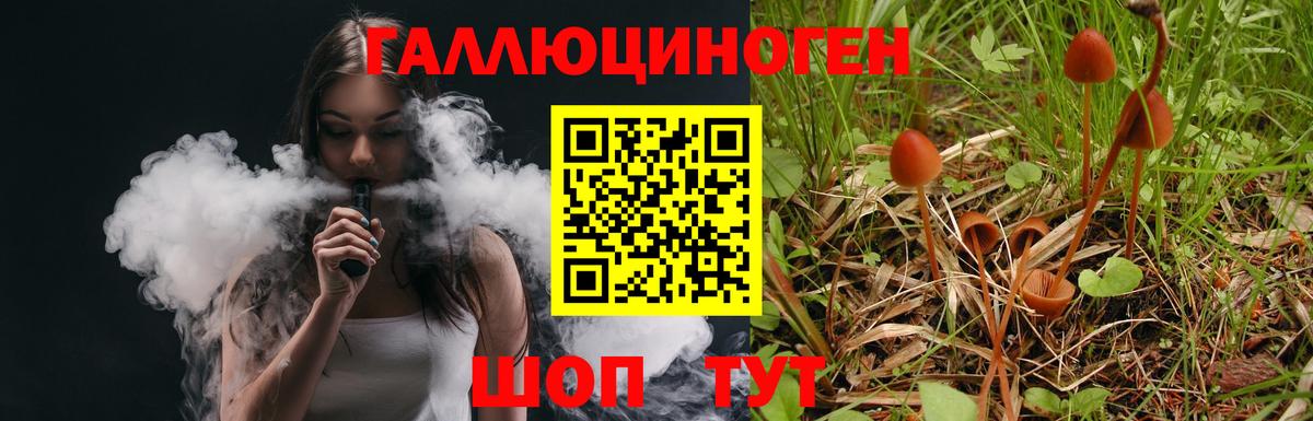 Псилоцибиновые грибы прущие грибы Лесной