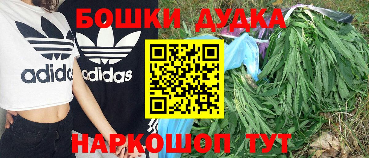 Каннабис ГИДРОПОН  Вход с VPN  Каннабис OG Kush  Лесной 